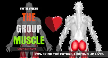 Understanding Walking the Group Muscle: Benefits, Techniques, and Exercises