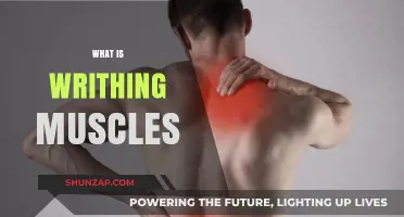 Muscle Cramps: Understanding the Pain and Treatment