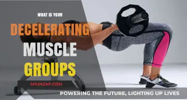 Understanding Decelerating Muscle Groups: Key Functions and Training Tips