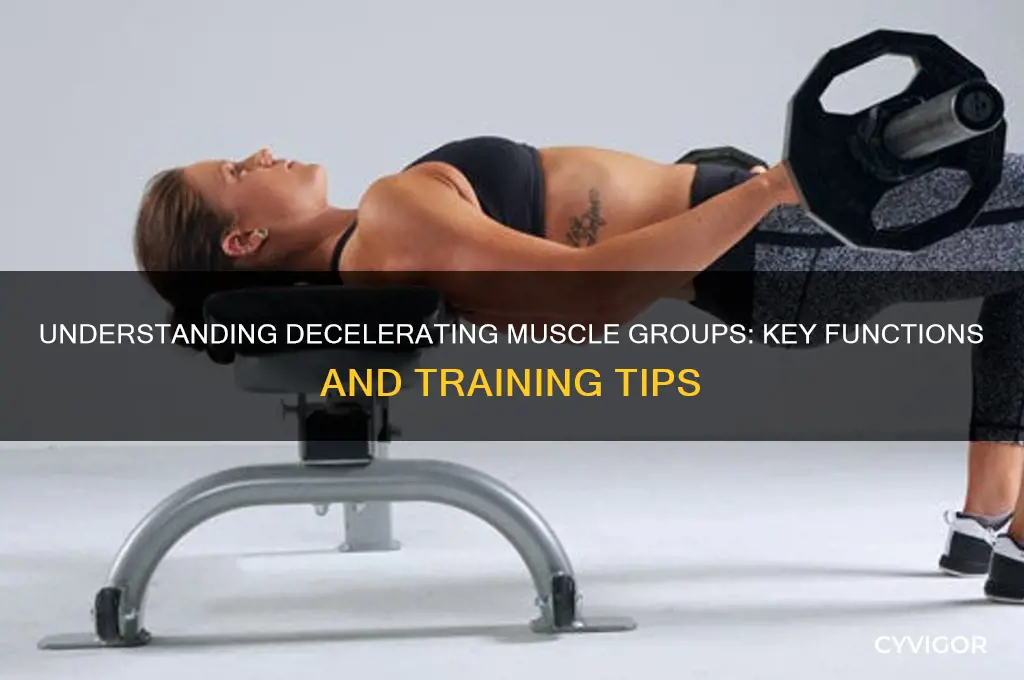 what is your decelerating muscle groups