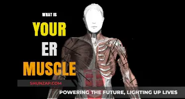 Explore Your ER Muscle: Powering Your Emotional Resilience