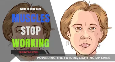 Understanding Facial Paralysis: When Face Muscles Suddenly Stop Functioning