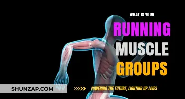 Running's Key Muscle Groups: Unlocking Strength and Endurance for Every Stride
