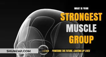 Unleash Your Power: Discovering Your Strongest Muscle Group