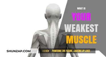 Weakest Link: Muscle Weakness and You