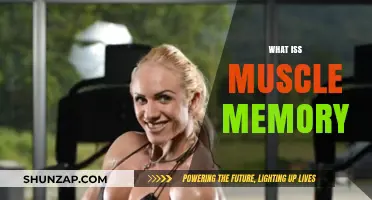 Muscle Memory: How Your Body Remembers