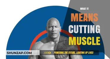 Cutting Muscle: What's the Real Deal?