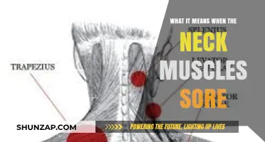 Neck Muscle Soreness: Causes, Symptoms, and Effective Relief Strategies