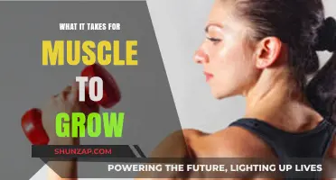Unlocking Muscle Growth: Essential Factors for Strength and Size