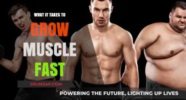 Unlock Rapid Muscle Growth: Proven Strategies for Quick Results