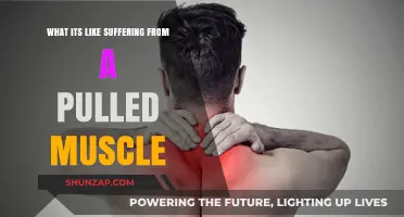 Pulled Muscle Pain: Understanding the Agony and Recovery Journey
