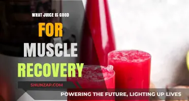 Revitalize Your Muscles: The Best Juices for Post-Workout Recovery