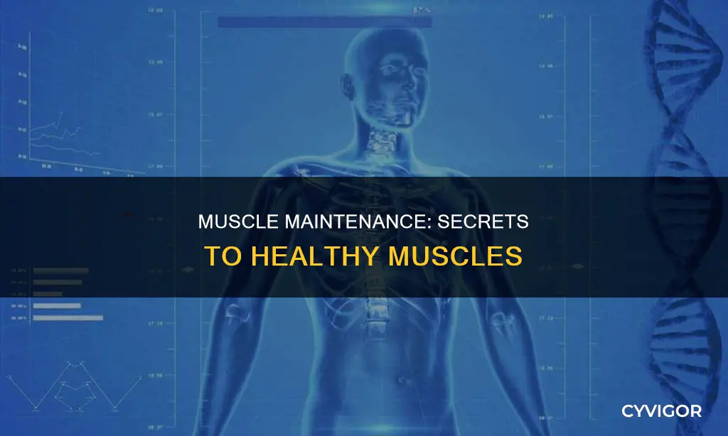 what keeps muscle healty