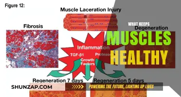 Muscle Health: The Key to a Long, Active Life