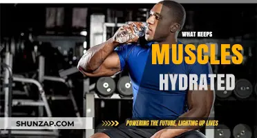 Hydration and Muscles: The Secret to Staying Supple