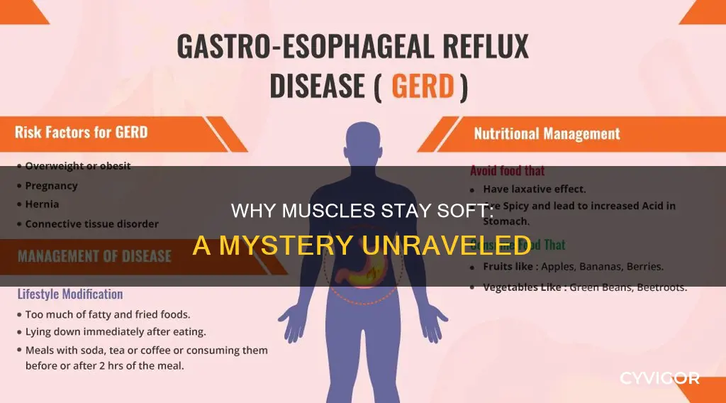 what keeps muscles soft