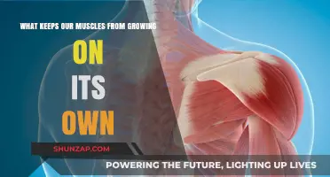 Why Muscles Don't Grow Automatically: Unlocking the Science Behind Stagnation