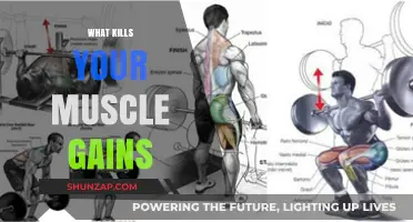 Avoid These Muscle Gain Killers: Maximize Your Workout Results