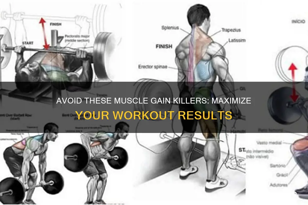 what kills your muscle gains