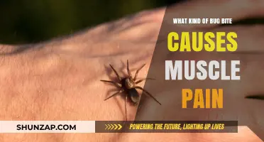 Bug Bites and Muscle Pain: Identifying the Culprit Behind Your Aches