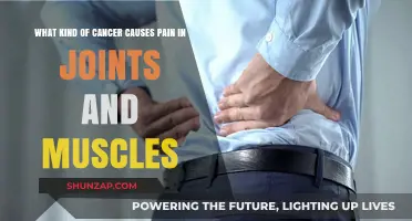 Joint and Muscle Pain: Uncovering Cancer Types Behind the Discomfort
