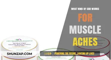 Effective CBD Types for Relieving Muscle Aches and Discomfort