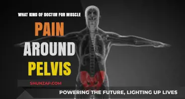 Finding Relief: Which Specialist Treats Pelvic Muscle Pain?