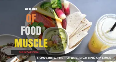 Muscle-Friendly Foods: What to Eat to Gain Muscle