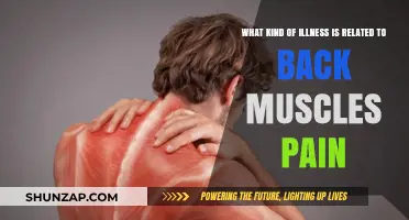 Understanding Back Muscle Pain: Common Illnesses and Causes Explained