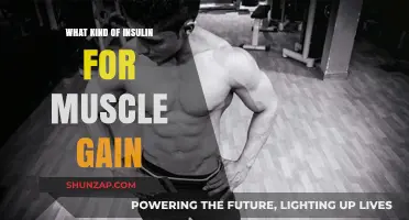 Insulin for Muscle Gain: Types, Timing, and Effective Strategies