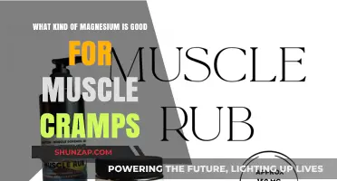 Best Magnesium Supplements to Relieve Muscle Cramps: A Guide