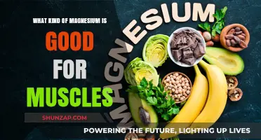Unlocking Muscle Health: The Best Types of Magnesium for Fitness Enthusiasts