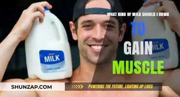Best Milk Options for Muscle Gain: A Comprehensive Guide