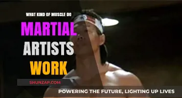 Martial Arts Muscle Focus: Training Types and Targeted Strength Development