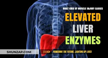 Muscle Injury and Elevated Liver Enzymes: Unraveling the Connection