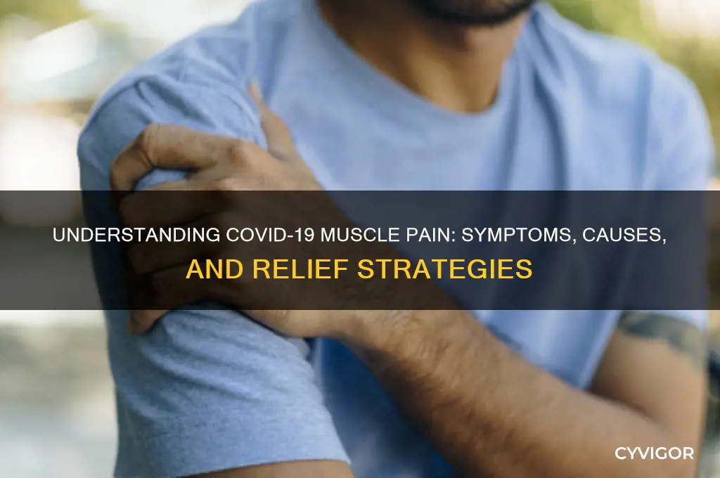 what kind of muscle pain does coronavirus cause