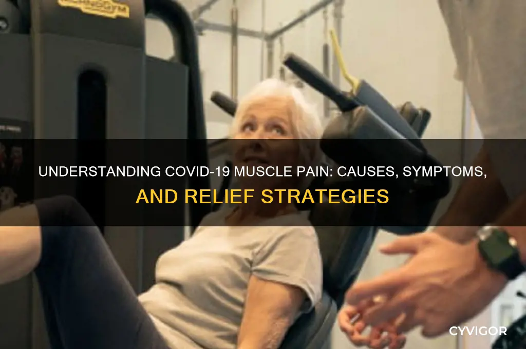 what kind of muscle pain in covid 19