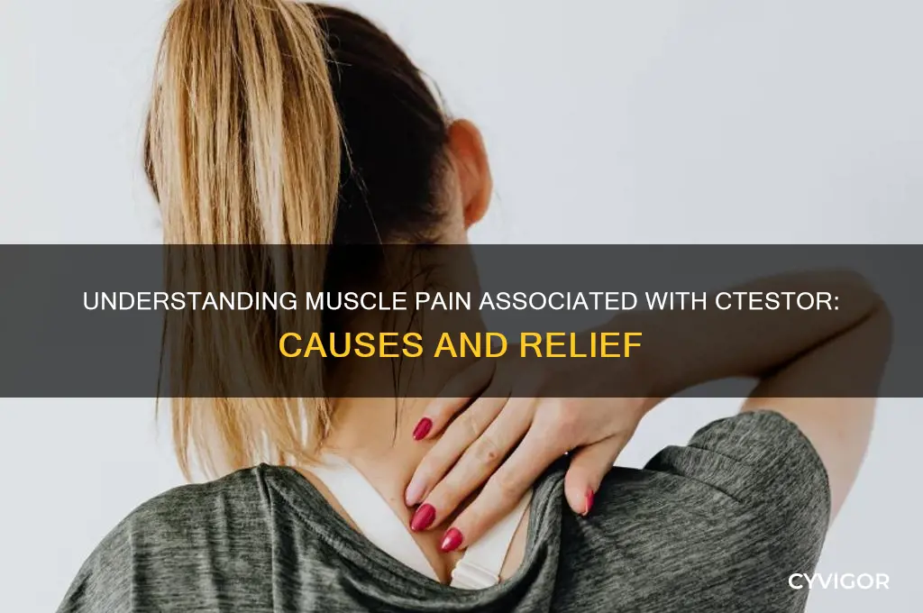 what kind of muscle pain with ctestor
