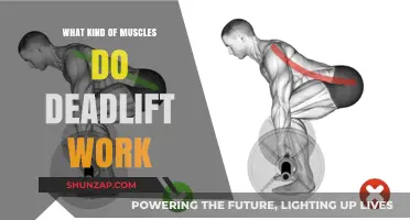 Deadlift Muscles: Unlocking Strength in Your Back, Core, and Legs