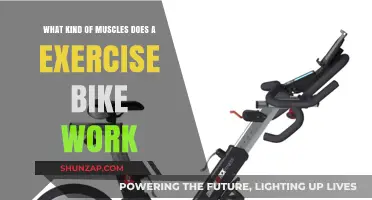 Pedal Power: Muscles Targeted by Exercise Bike Workouts
