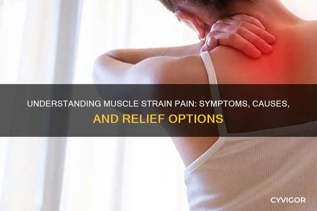 what kind of pain does muscle strain cause