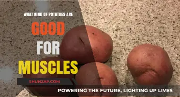 Fuel Your Muscles: The Best Potatoes for Post-Workout Recovery