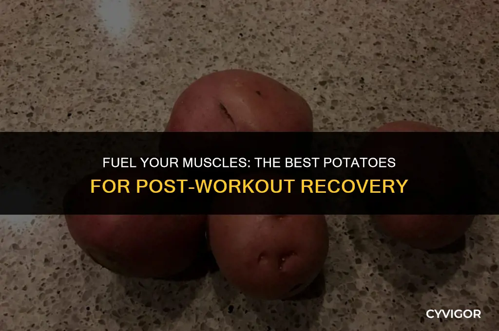 what kind of potatoes are good for muscles