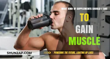 Best Muscle-Building Supplements: Essential Picks for Effective Muscle Gain