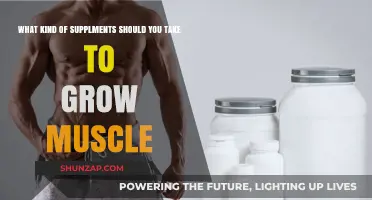 Best Muscle-Building Supplements: Essential Picks for Optimal Growth and Strength
