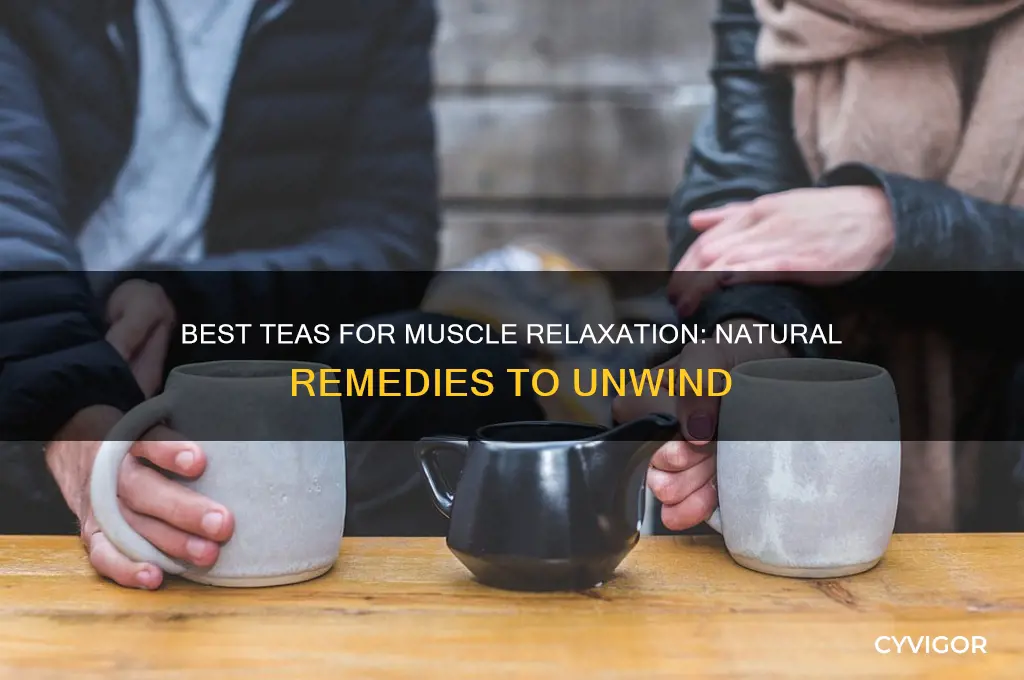 Best Teas For Muscle Relaxation: Natural Remedies To Unwind | CyVigor