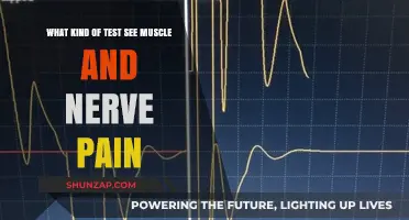 Diagnosing Muscle and Nerve Pain: Essential Tests for Accurate Assessment