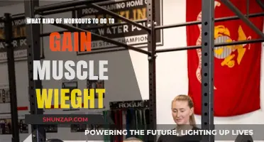 Effective Muscle-Building Workouts for Healthy Weight Gain and Strength