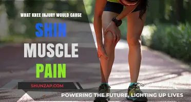 Knee Injuries Linked to Shin Muscle Pain: Causes and Connections