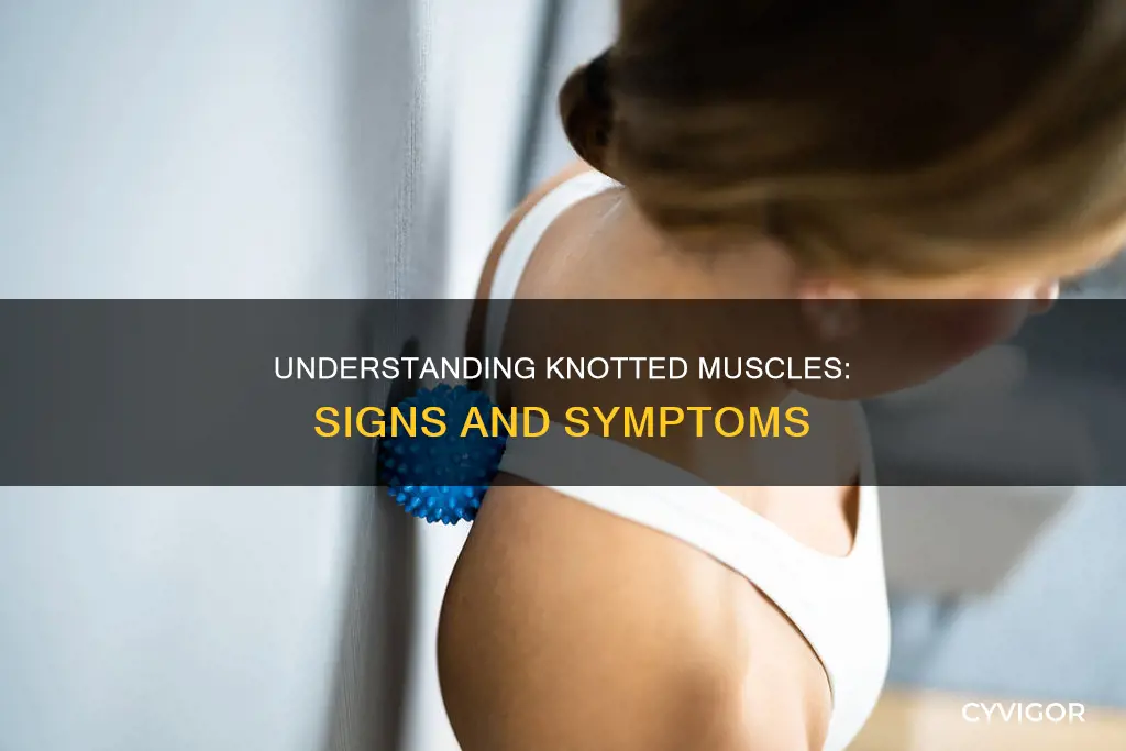 what knotted muscles look like